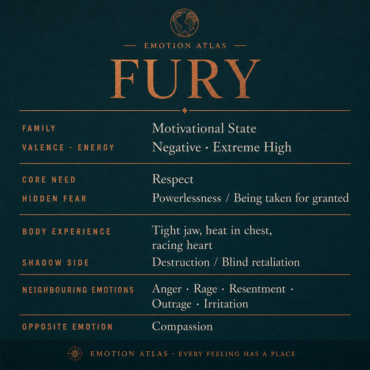 Fury — image 12