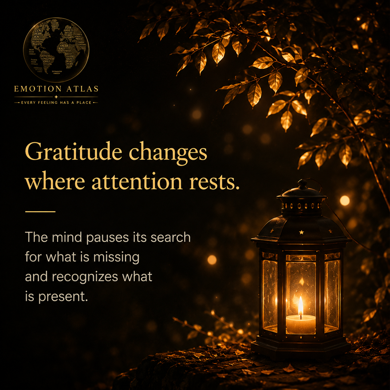 Gratitude — image 3