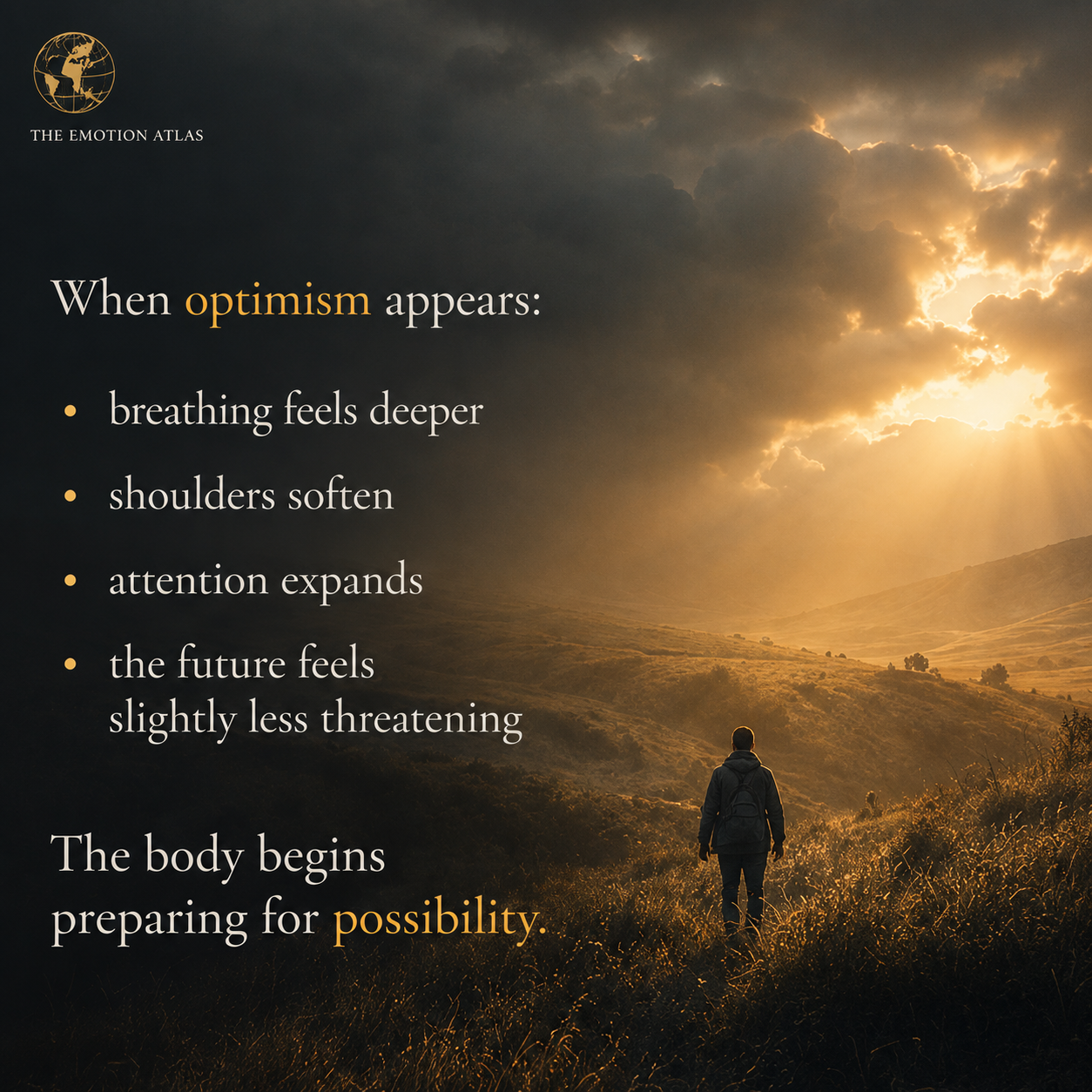 Optimistic — image 4