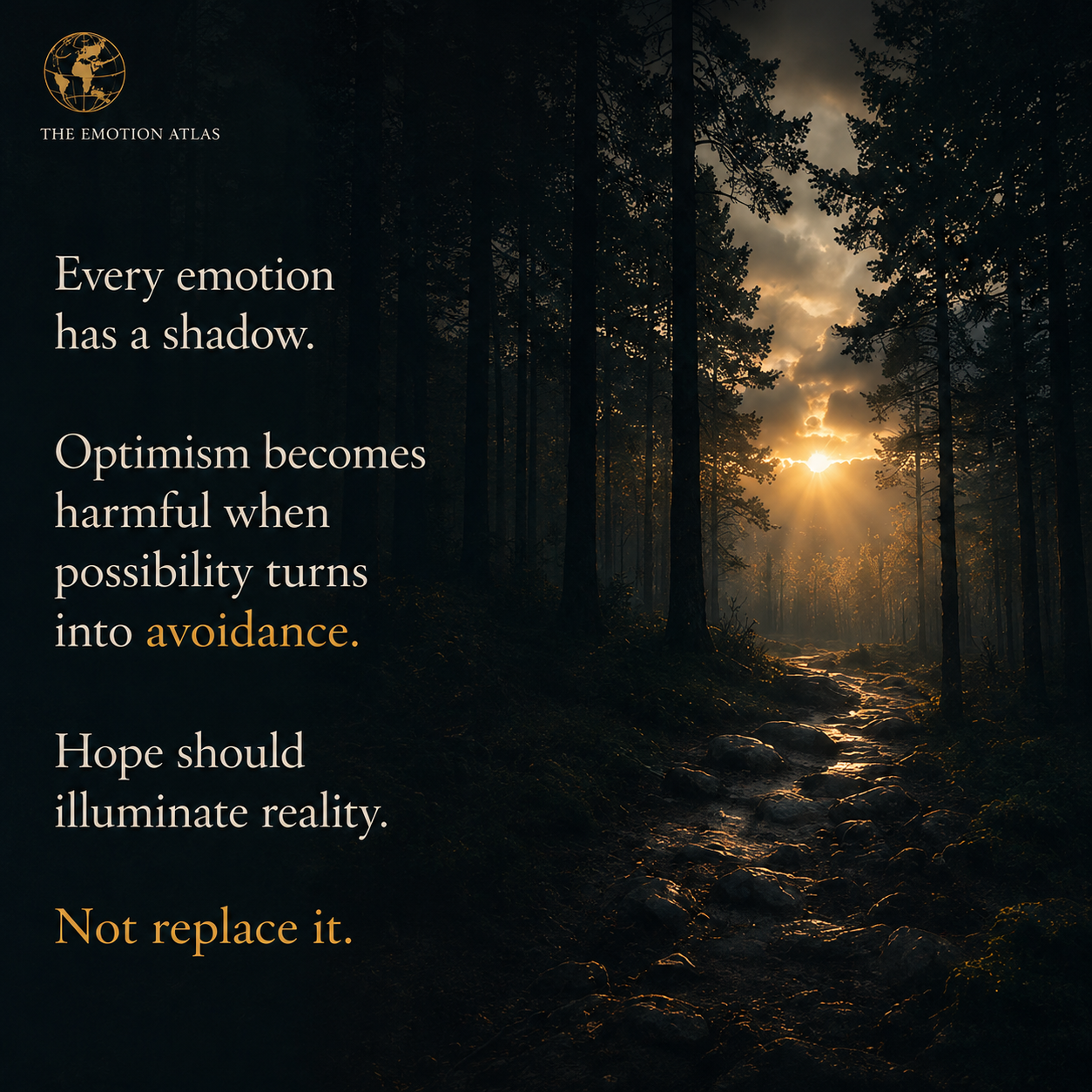 Optimistic — image 7